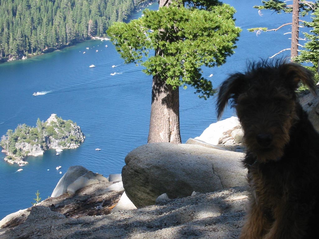 Ferris at Emerald Bay