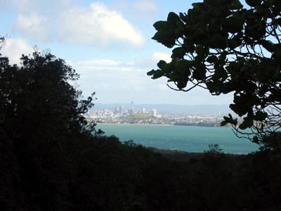 Rangitoto view