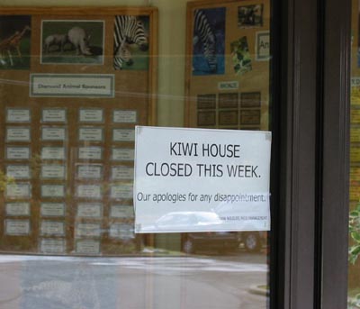 No Kiwi