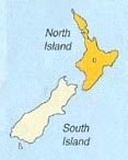 nz map